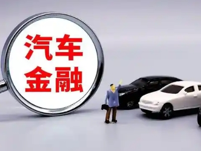 长子押车贷款不是本人可以么?